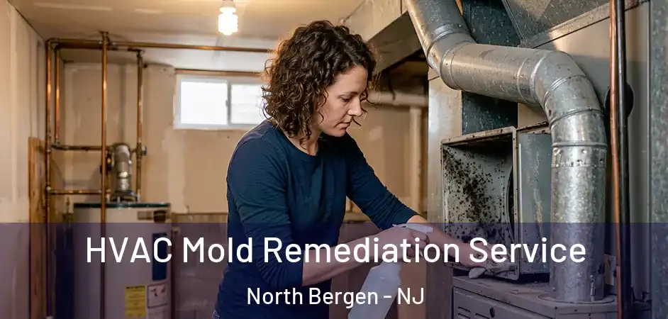 HVAC Mold Remediation Service North Bergen - NJ
