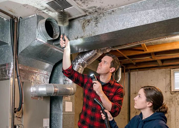 Premier HVAC Mold Remediation Company in North Bergen